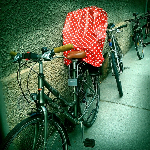 2013_05_19_fahrradsitzschutz