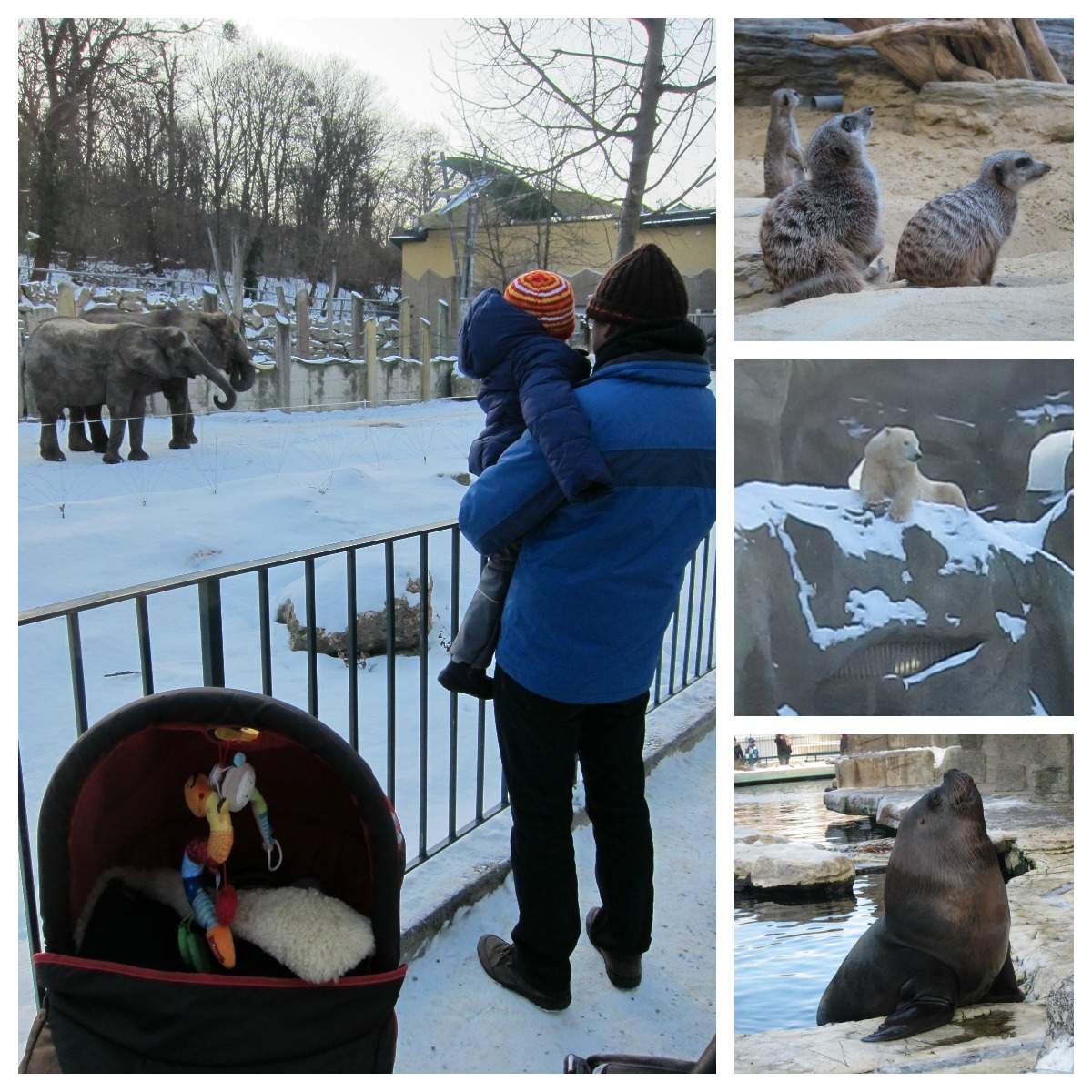 2015_01_16_TierparkSchoenbrunn