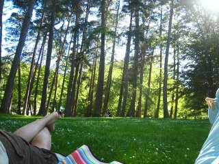 picknick_5-6