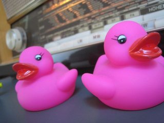 woche-17_pink