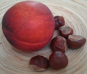 2011_08_25_sommerherbst