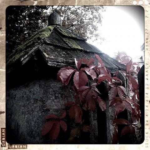2012_10_01_herbst 2012_10_01_herbst