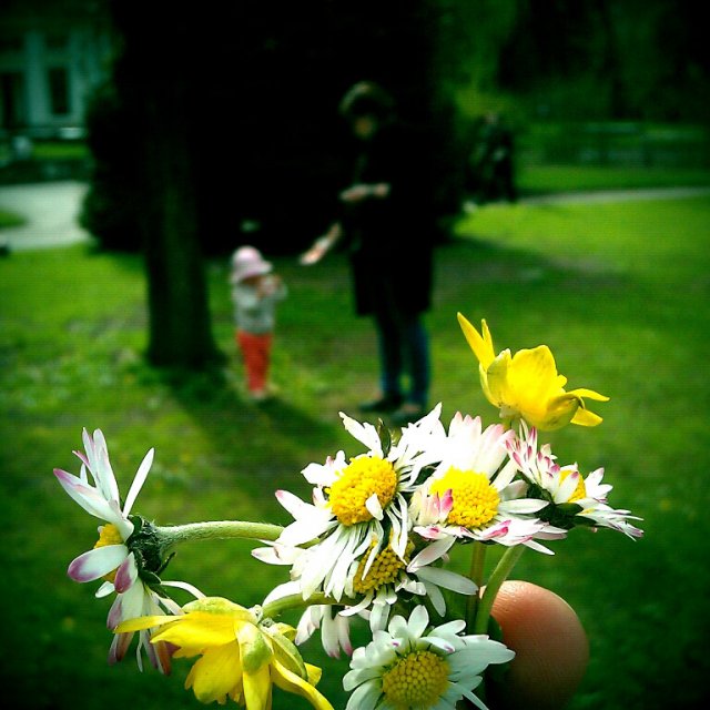 2013_04_17_blumenstrauss 2013_04_17_blumenstrauss