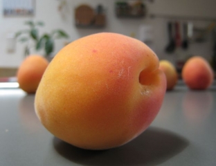 woche-5_orange