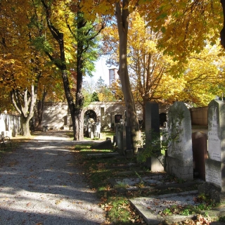 2011_11_01_friedhof3