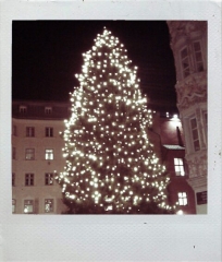 2011_11_17_christkindmarkt1