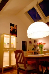 vitrine_1